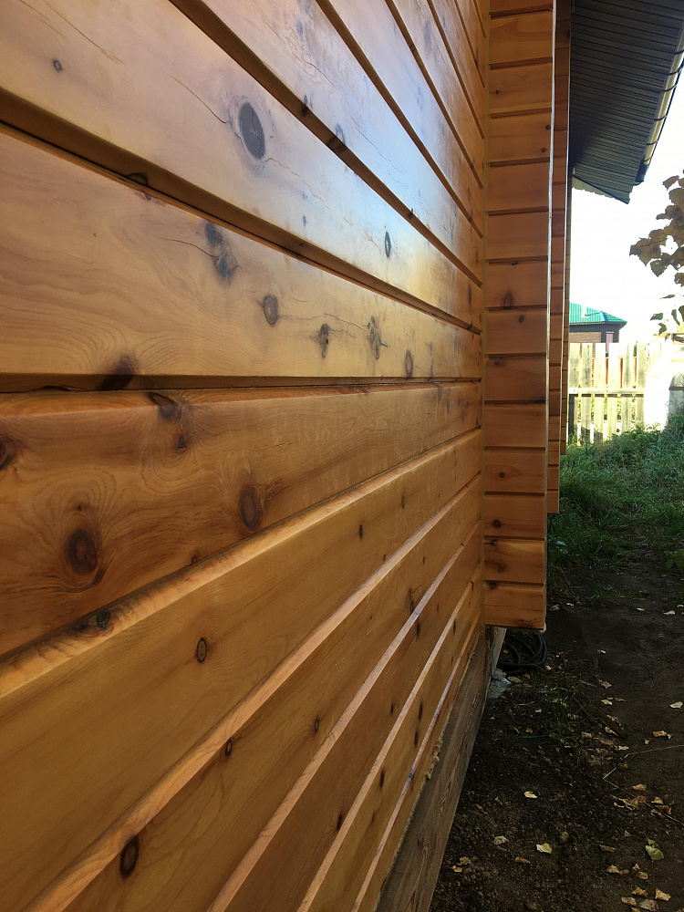 Частный дом, СНТ Клен, Верх-Тула, цвет Кедр 2010